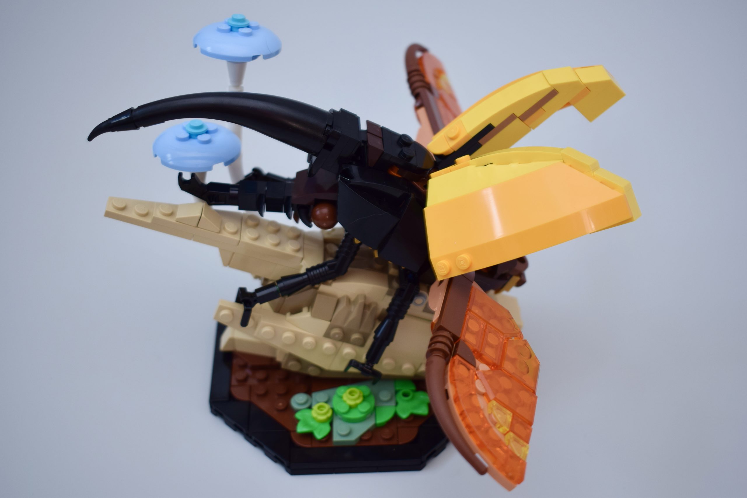 Review: LEGO 21342 The Insect Collection - Jay's Brick Blog