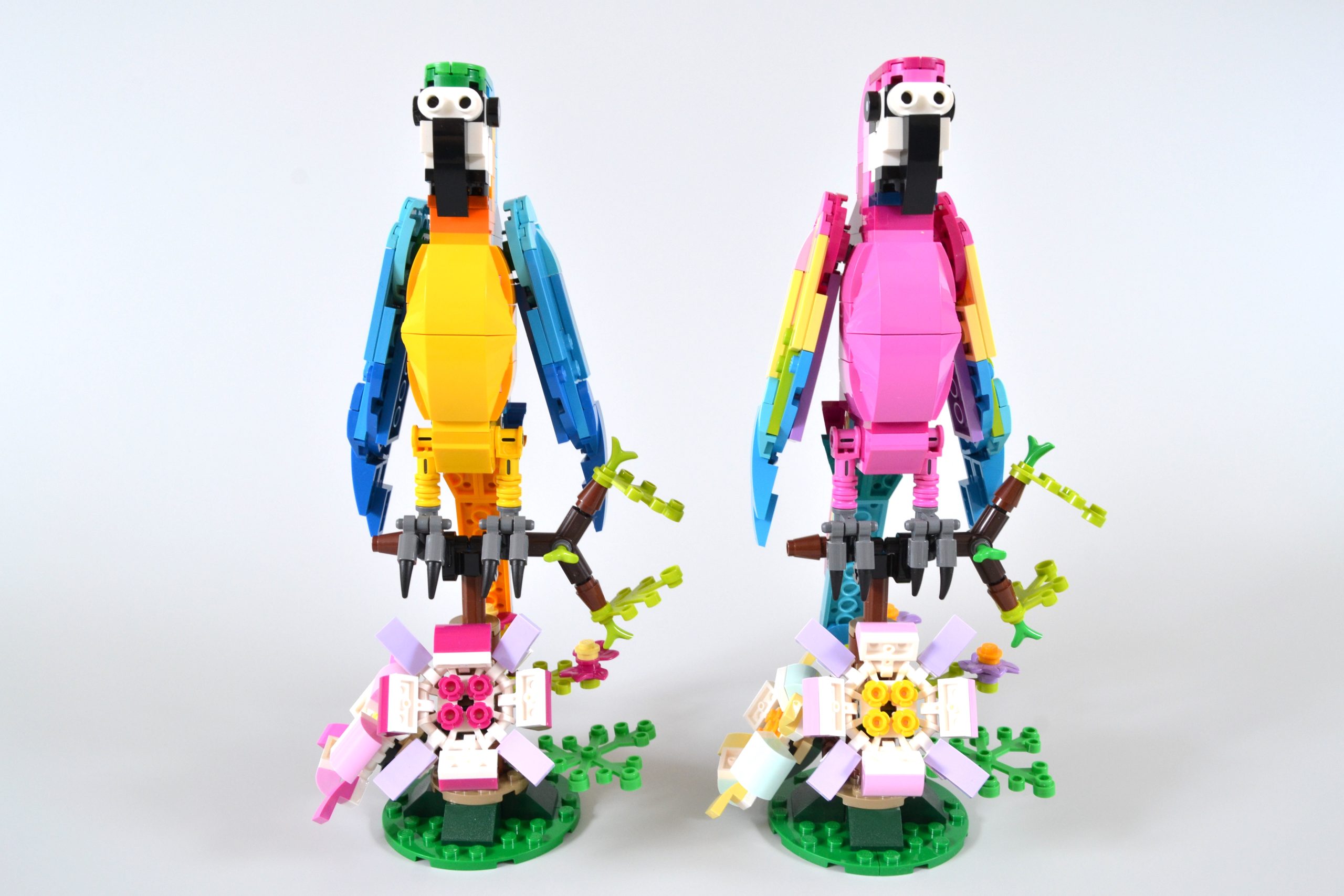 Perroquet et grenouille Lego Creator