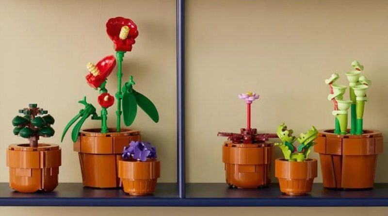 ▻ LEGO ICONS Botanical Collection 10329 Tiny Plants : le set est