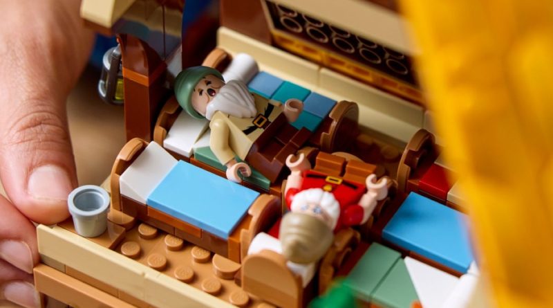 LEGO Il Signore degli Anelli - Brick Fanatics - Notizie, recensioni e build  LEGO