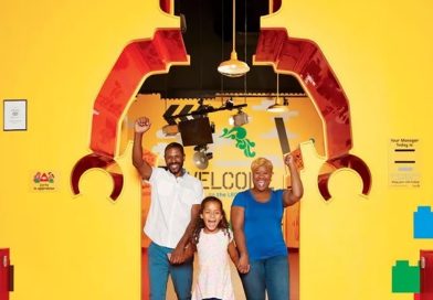 LEGO launches new VIP experience at Discovery Centers