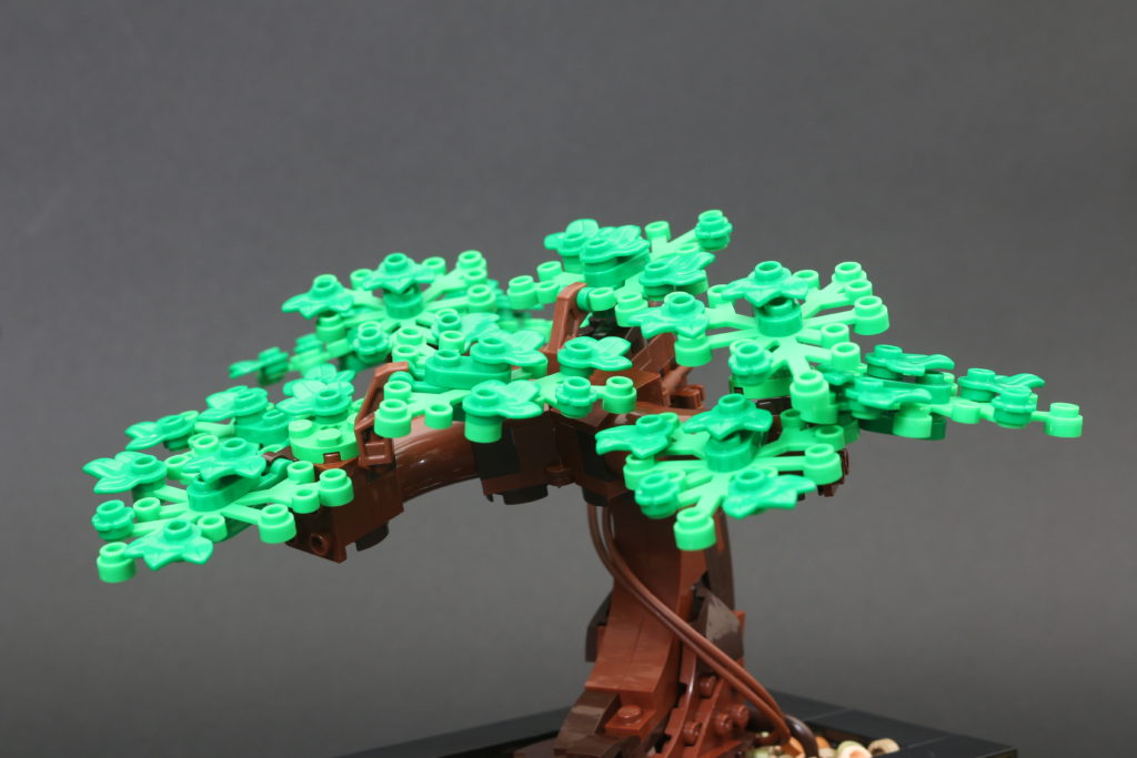 Bonsai Tree (10281) Review - Botanical Collection - True North Bricks