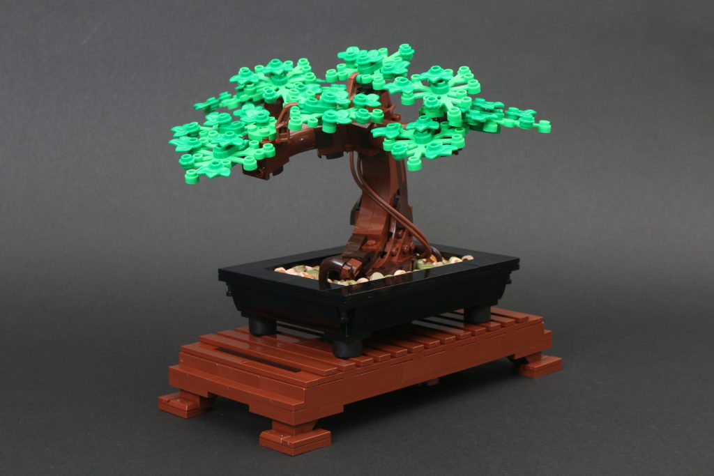LEGO Botanical Collection 10281 Revisión y galería del árbol bonsái