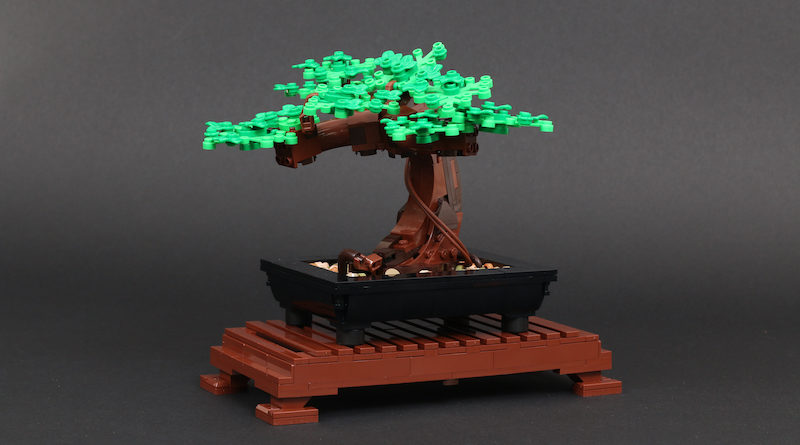 LEGO Botanical Collection 10281 Bonsai Tree is back in the UK