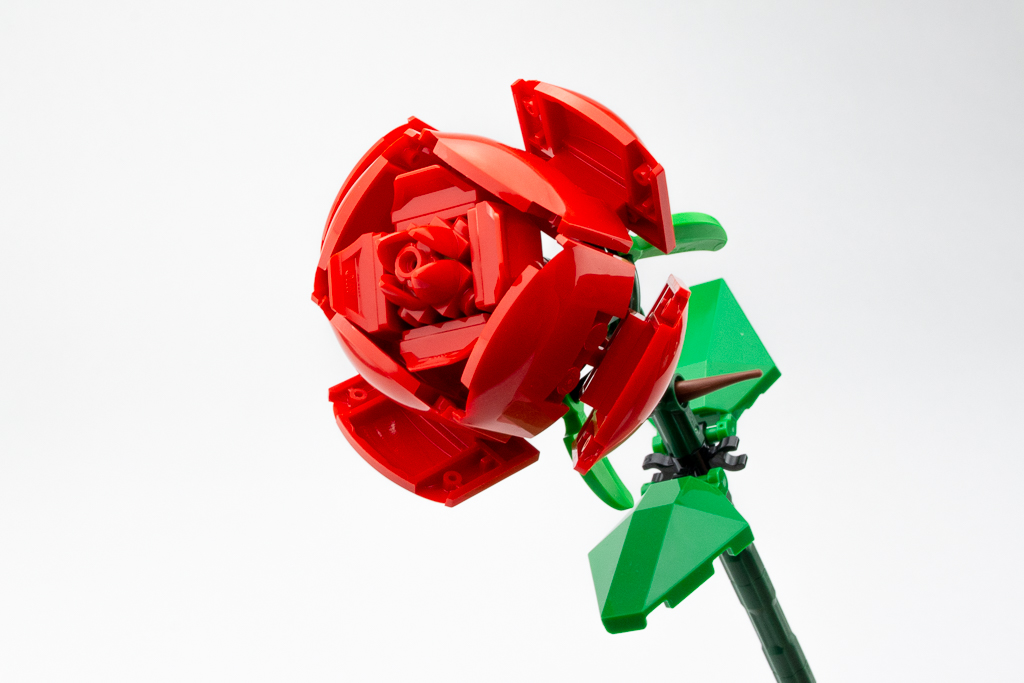 LEGO Iconic 40460 Roses Critique, photos et galerie