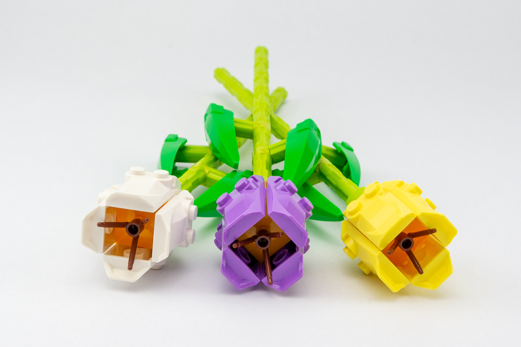 LEGO Iconic 40461 Tulips review, verdict and gallery